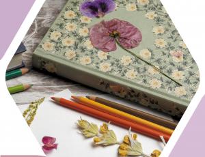 Cr�ation en autonomie