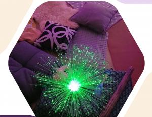 Atelier sensoriel