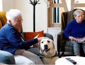 La vie en coloc : une alternative pour les malades d'Alzheimer