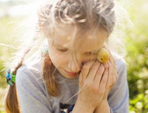  	AEMO : Demande d'assistance (2023)