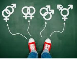 Dispositifs groupaux dans  l’accompagnement	 des  enfants  transgenres et/ou  en  questionnement	 à  l’endroit	 de  leur  identité	 de  genre  