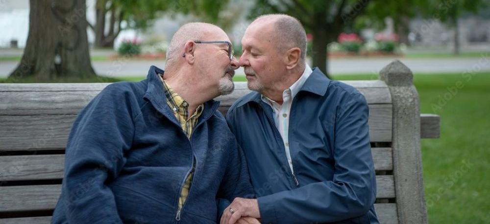 EHPAD. Penser l'accueil des personnes âgées LGBT+ (2022) EHPAD. Penser l'accueil des personnes âgées LGBT+ (2022)