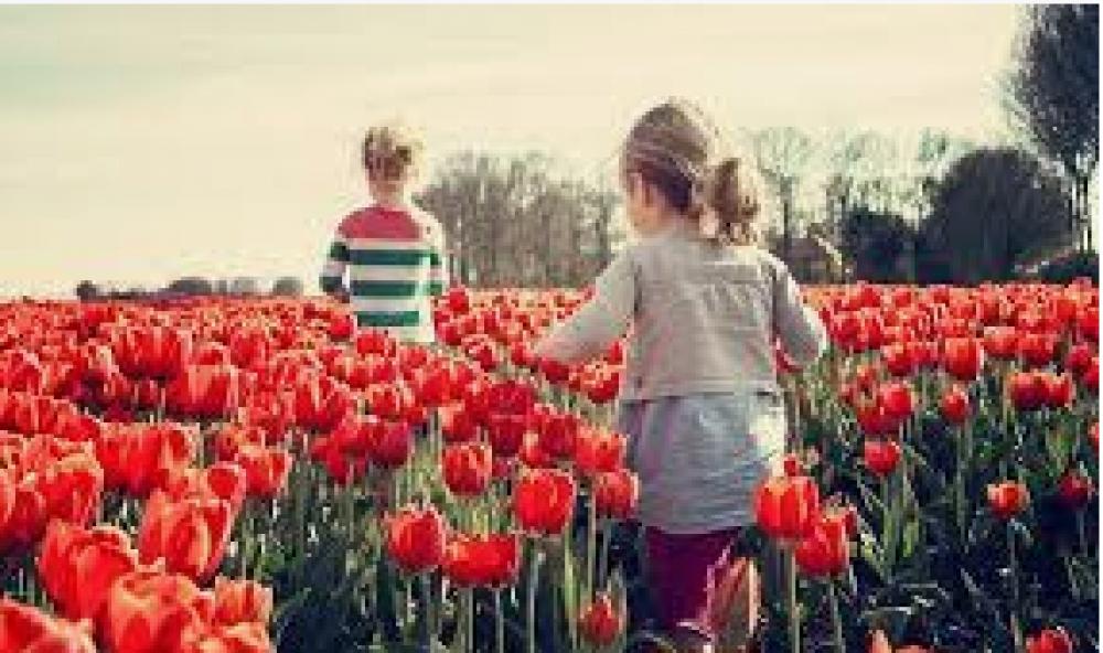 Rever la nature avec les enfants Rever la nature avec les enfants